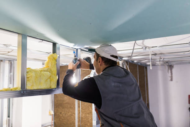 Best Attic Insulation Near Me  in Fresno, TX