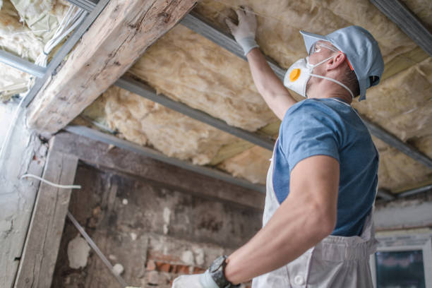 Best Energy-efficient Insulation  in Fresno, TX