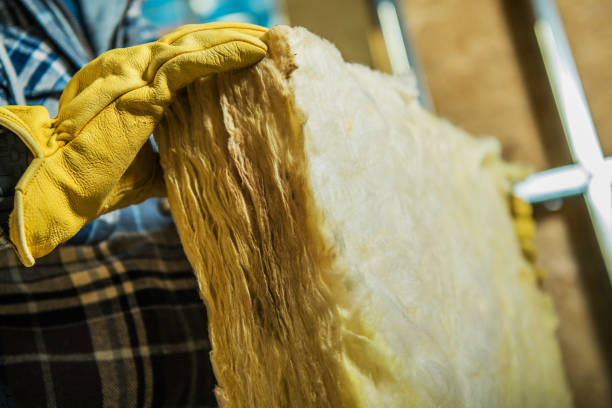 Insulation Inspection Services in Fresno, TX