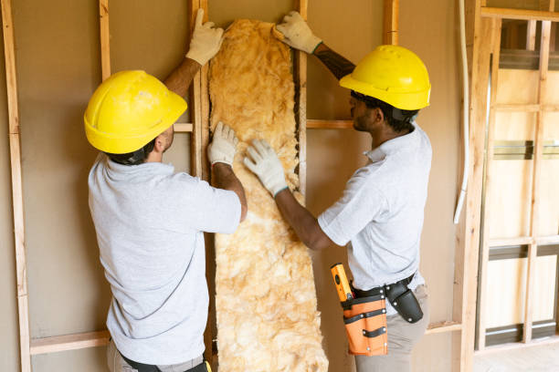 Best Insulation Removal  in Fresno, TX