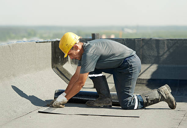 Best Crawl Space Insulation  in Fresno, TX