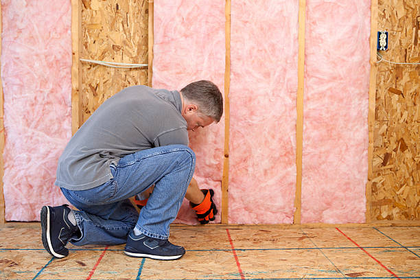 Best Cellulose Insulation  in Fresno, TX