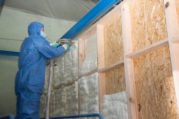 Best Insulation Removal  in Fresno, TX