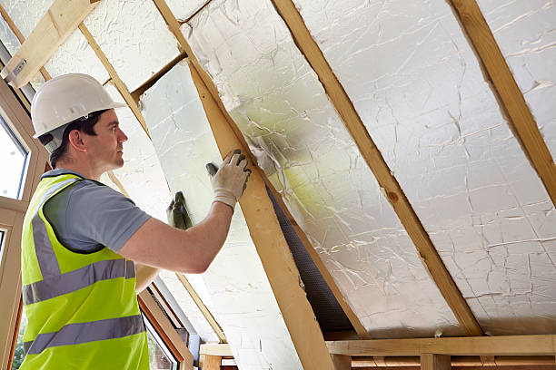 Best Insulation Contractors for Homes  in Fresno, TX