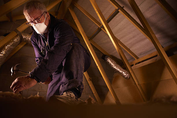Best Blown-in Insulation  in Fresno, TX
