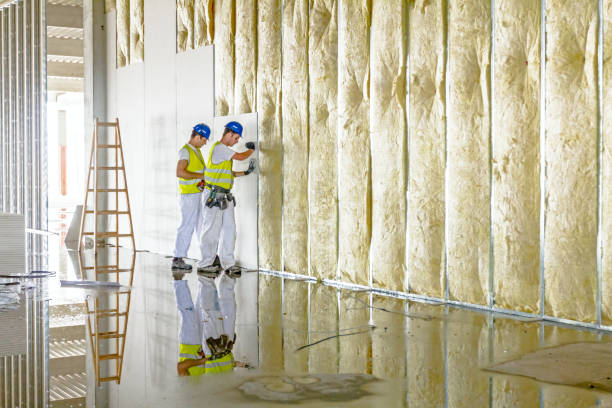 Best Insulation for New Construction  in Fresno, TX
